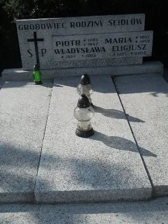 Zdjęcie grobu 100/11,10