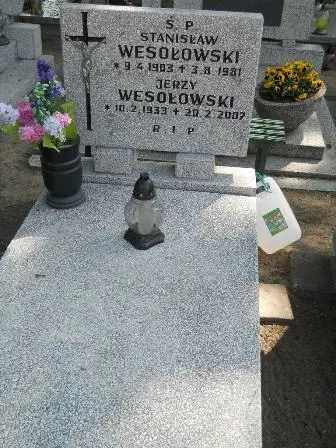 Zdjęcie grobu 26/100
