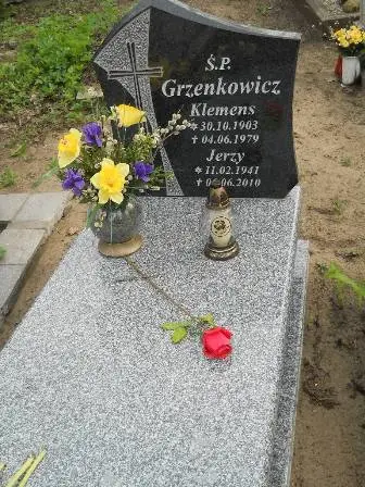 Zdjęcie grobu 9/46