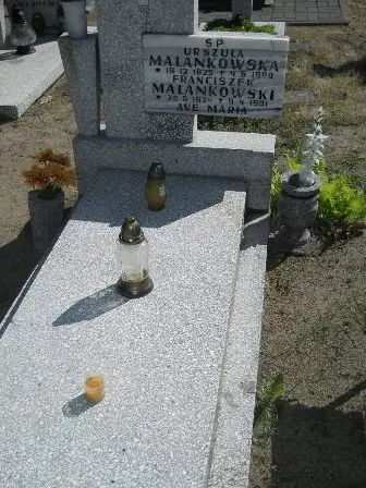 Zdjęcie grobu 46/136