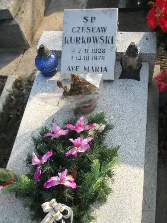 Zdjęcie grobu 2/100