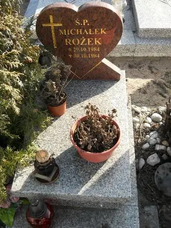 Zdjęcie grobu 6/741
