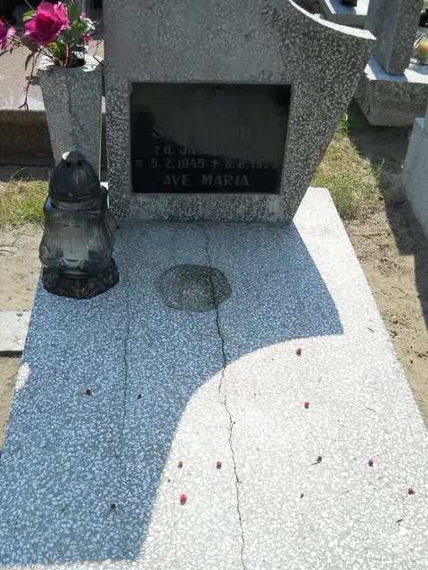 Zdjęcie grobu 14/27488