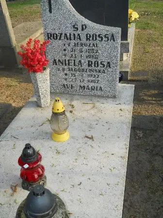 Zdjęcie grobu 37/5