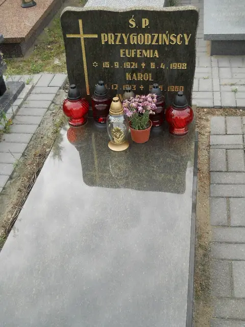 Zdjęcie grobu 9/24524