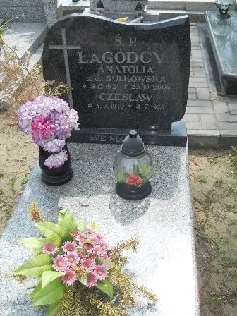 Zdjęcie grobu 40/100