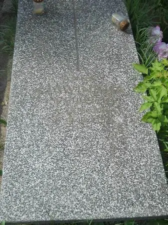 Zdjęcie grobu 20/310