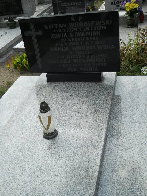 Zdjęcie grobu 11/29156