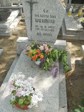 Zdjęcie grobu 26/251