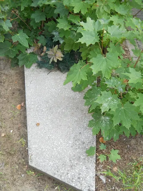 Zdjęcie grobu 15/26788