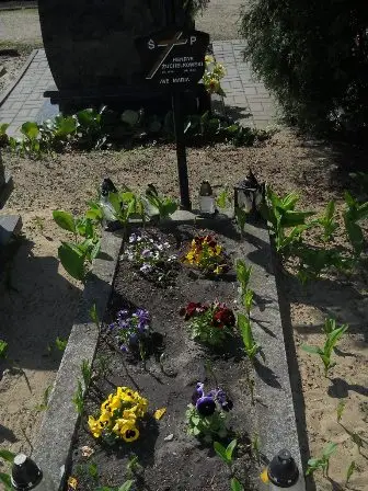 Zdjęcie grobu 11/1