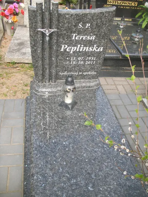 Zdjęcie grobu 8A/10293