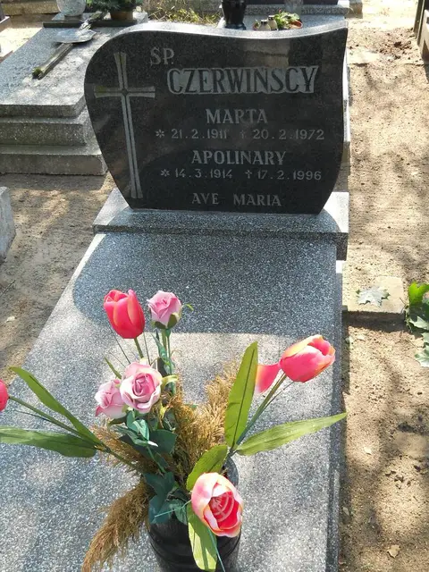 Zdjęcie grobu 18/28297