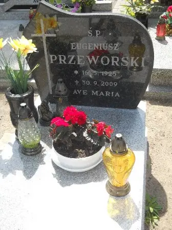 Zdjęcie grobu 25/190