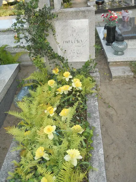 Zdjęcie grobu 14/28932