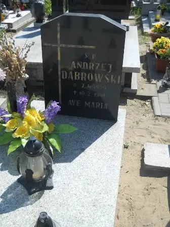 Zdjęcie grobu 26/100