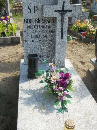 Zdjęcie grobu 46/100