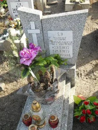 Zdjęcie grobu 6/663