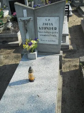 Zdjęcie grobu 9/100