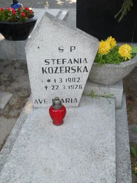 Zdjęcie grobu 8/10406