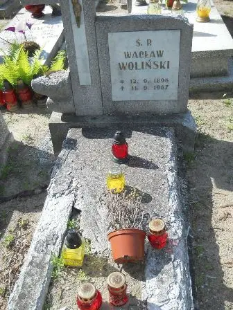 Zdjęcie grobu 24/100