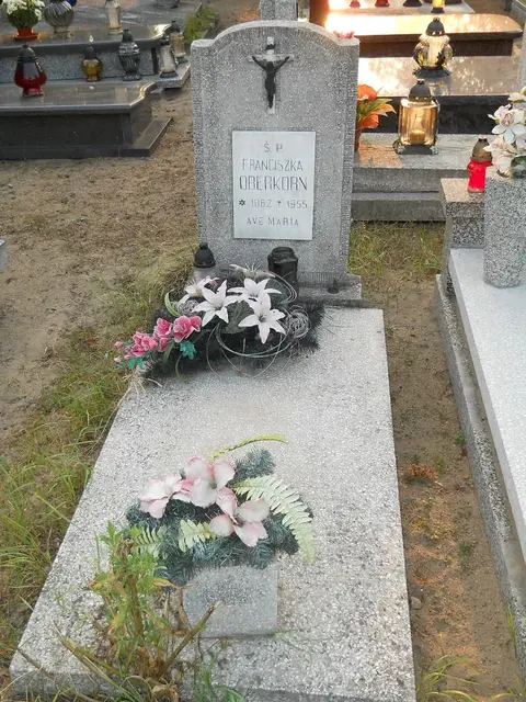 Zdjęcie grobu 13/29015