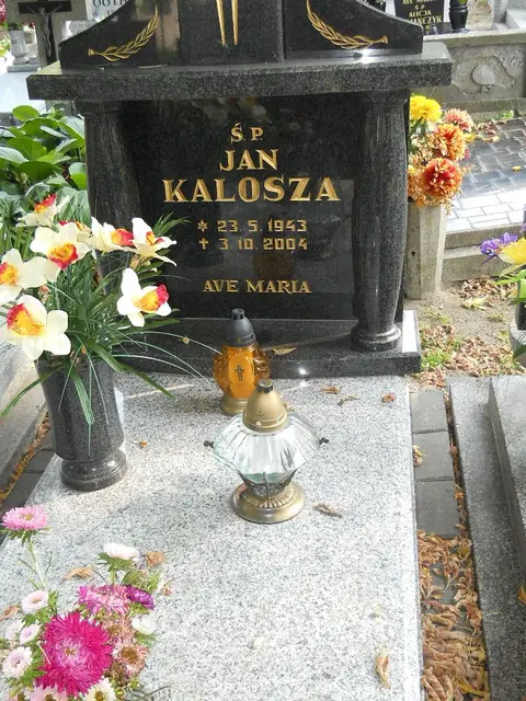 Zdjęcie grobu 15/26608