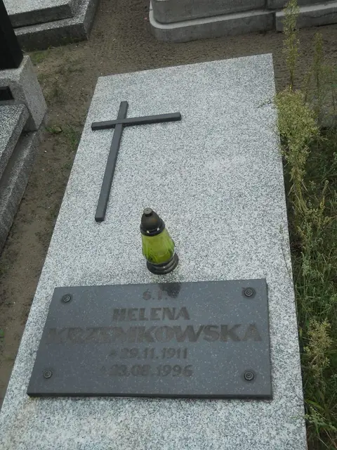 Zdjęcie grobu 12/29415