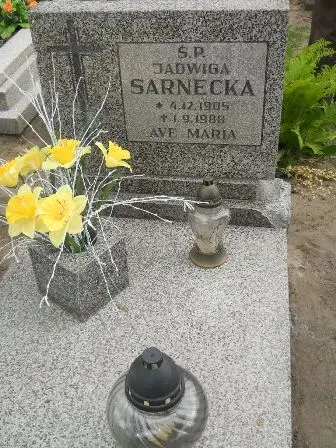 Zdjęcie grobu 22/202
