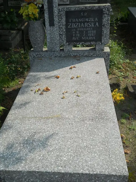 Zdjęcie grobu 15/26501