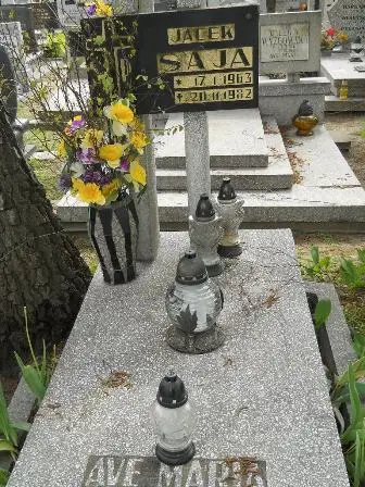 Zdjęcie grobu 43/274