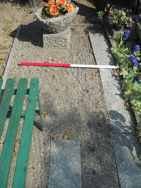 Zdjęcie grobu 19/28523