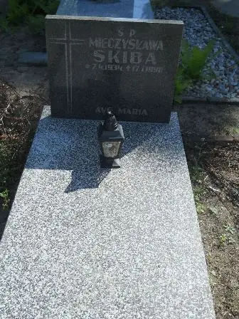 Zdjęcie grobu 46/160b
