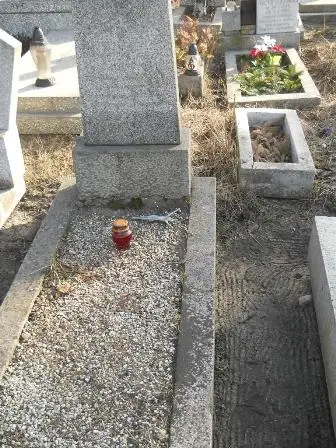 Zdjęcie grobu 100/100