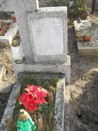 Zdjęcie grobu 100/100