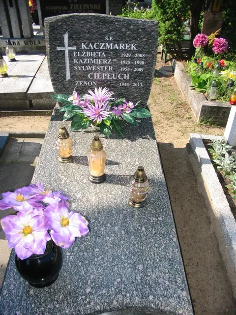 Zdjęcie grobu 17/28096