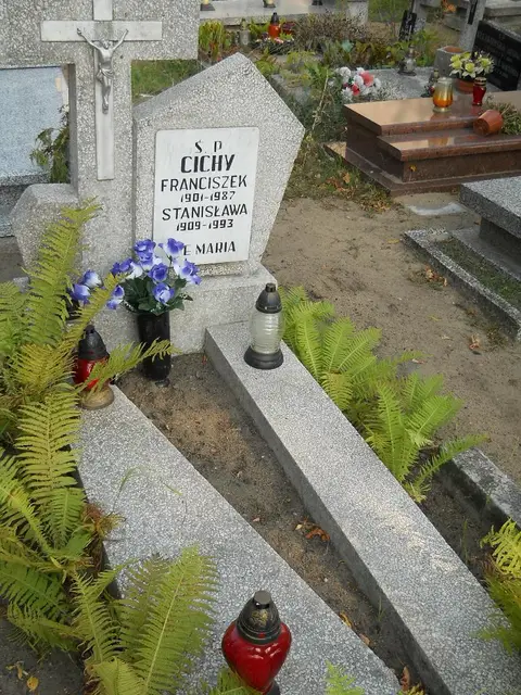 Zdjęcie grobu 23/28727