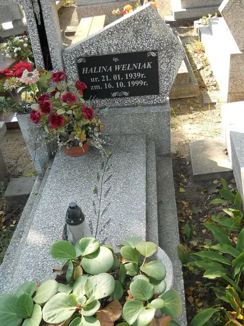 Zdjęcie grobu 17/28162