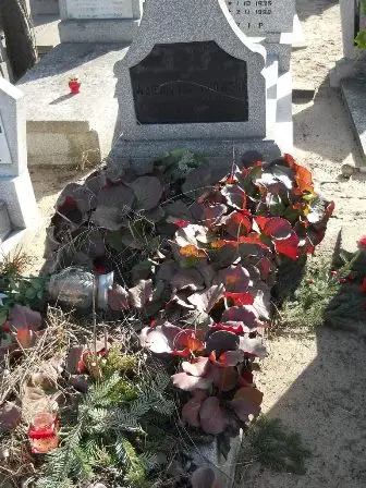 Zdjęcie grobu 1/205