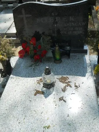 Zdjęcie grobu 30/195,196