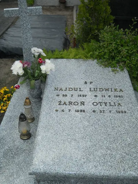 Zdjęcie grobu 7/11548