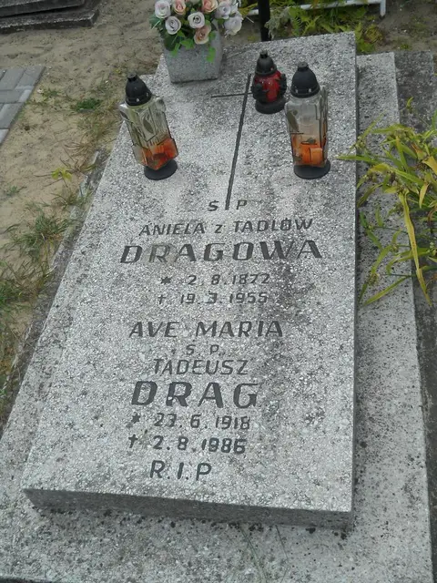 Zdjęcie grobu 9/24547