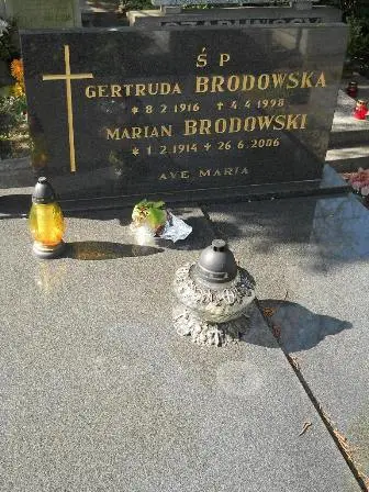 Zdjęcie grobu 24/100