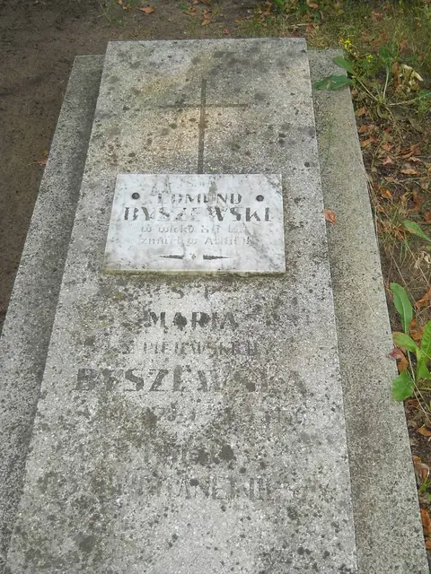 Zdjęcie grobu 15/26677