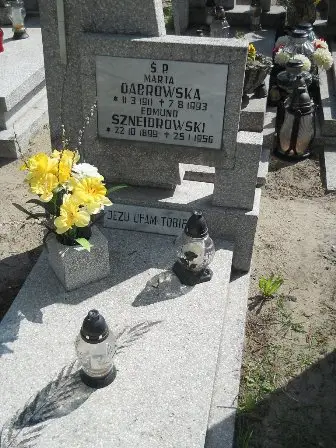 Zdjęcie grobu 25/100