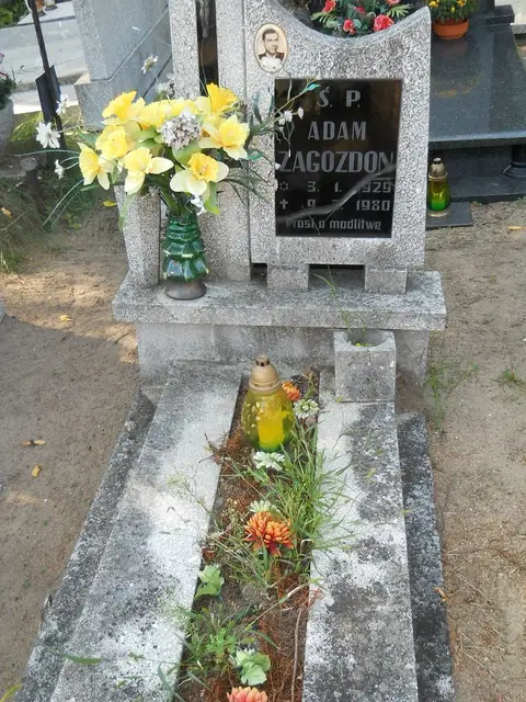 Zdjęcie grobu 17/28017