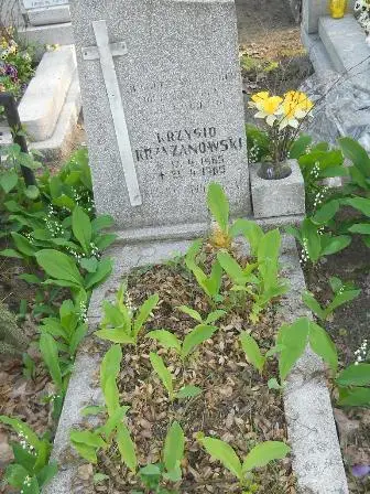 Zdjęcie grobu 7b/100