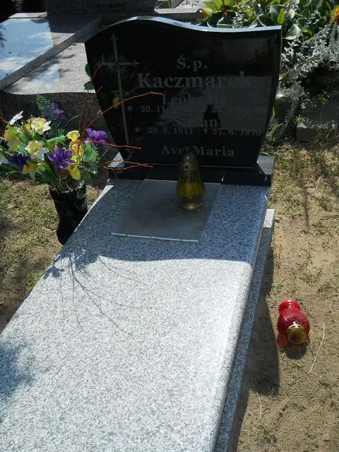 Zdjęcie grobu 14/27303