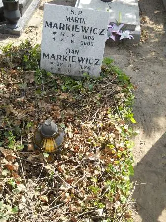 Zdjęcie grobu 25/347