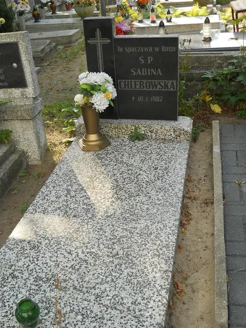 Zdjęcie grobu 19/28614
